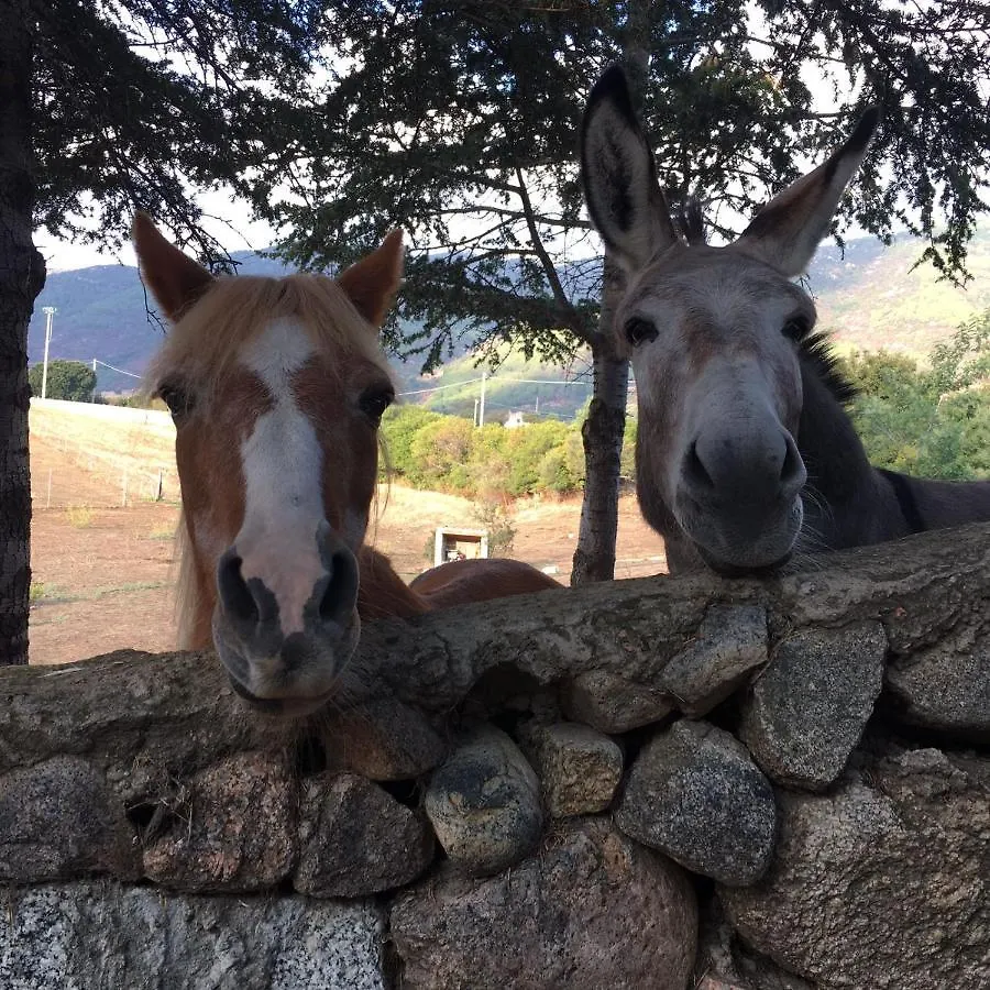 Appartamento Agriturismo Asara Padru
