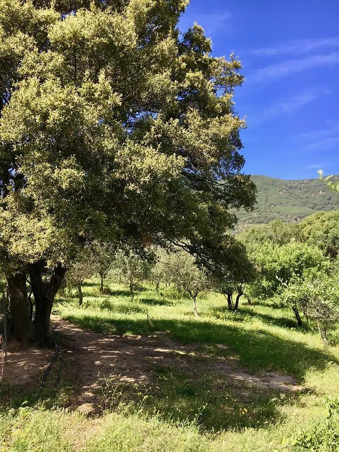 Agriturismo Asara Padru Appartamento
